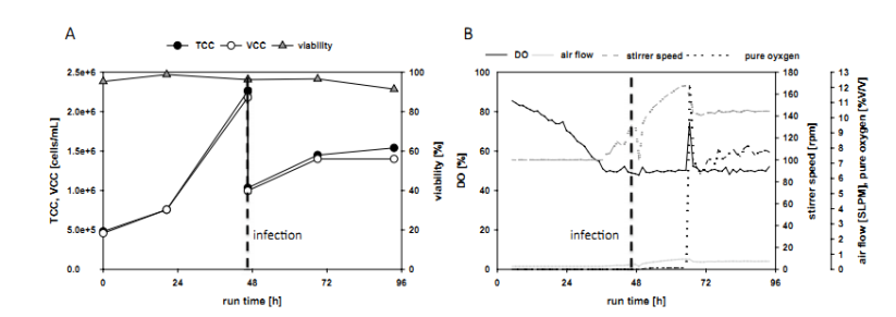 细胞作育工艺设计实质性，高抗剪切性