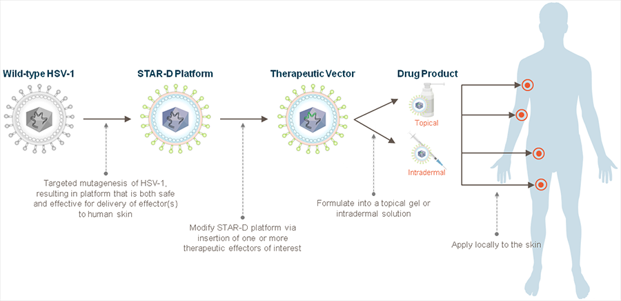 拯救“蝴蝶废物”！全球首款基因疗法来自一对“医药伉俪”