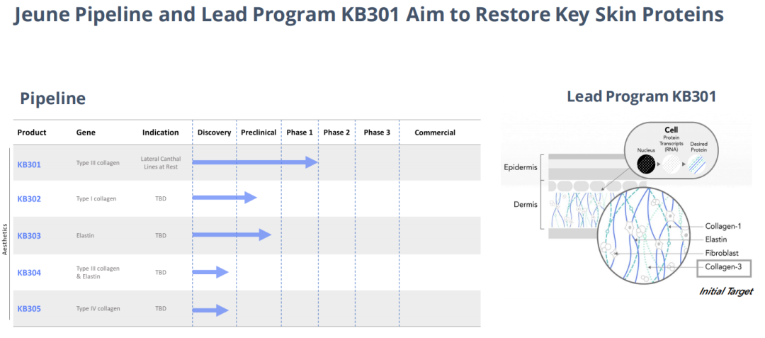 拯救“蝴蝶废物”！全球首款基因疗法来自一对“医药伉俪”