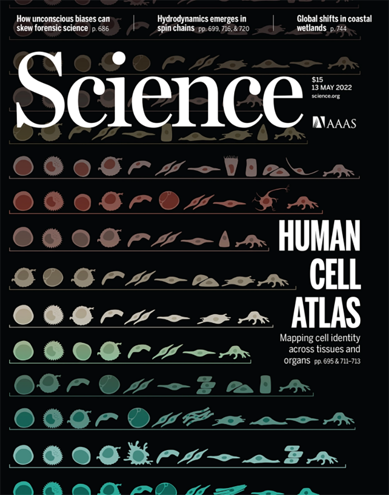 【Science重磅宣布】迄今为止，最周全的跨组织细胞图谱绘成
